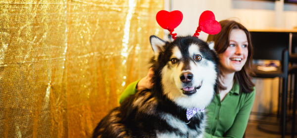 Dubs wearing a heart headband
